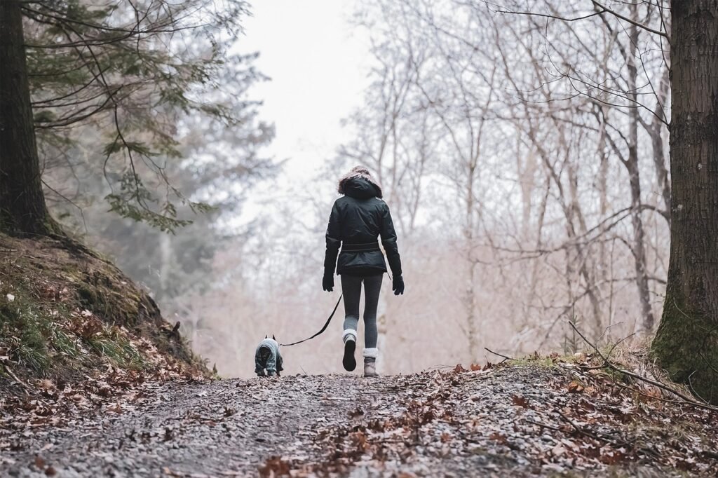 nature, hike, animal, pet, woman, activity, forest, trees, dog